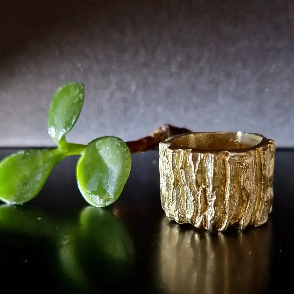 Tronchetto della felicità, Bronzo